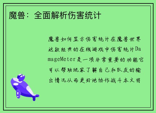 魔兽：全面解析伤害统计