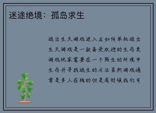 迷途绝境：孤岛求生