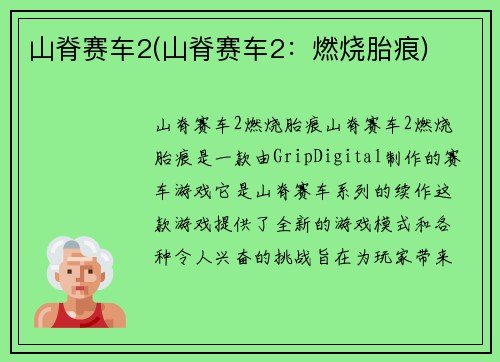 山脊赛车2(山脊赛车2：燃烧胎痕)